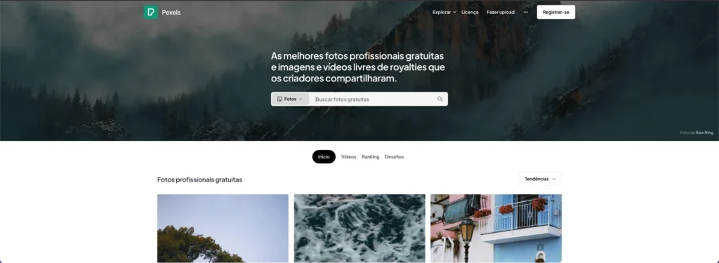 Os Melhores Bancos de Imagens para Você Usar no Seu Site 2 os melhores bancos de imagens para voce usar no seu site pexels